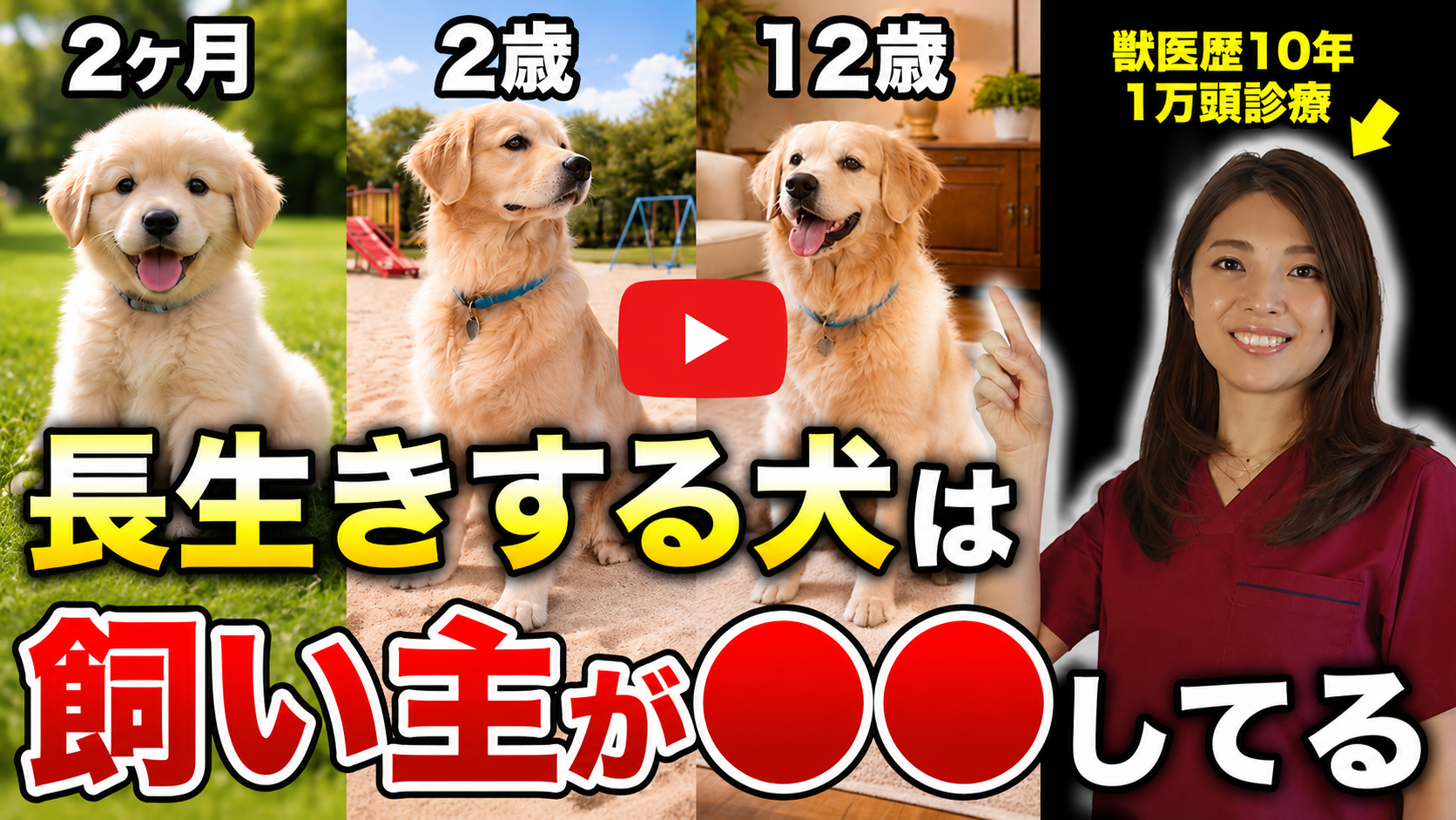 猫学ゼミ