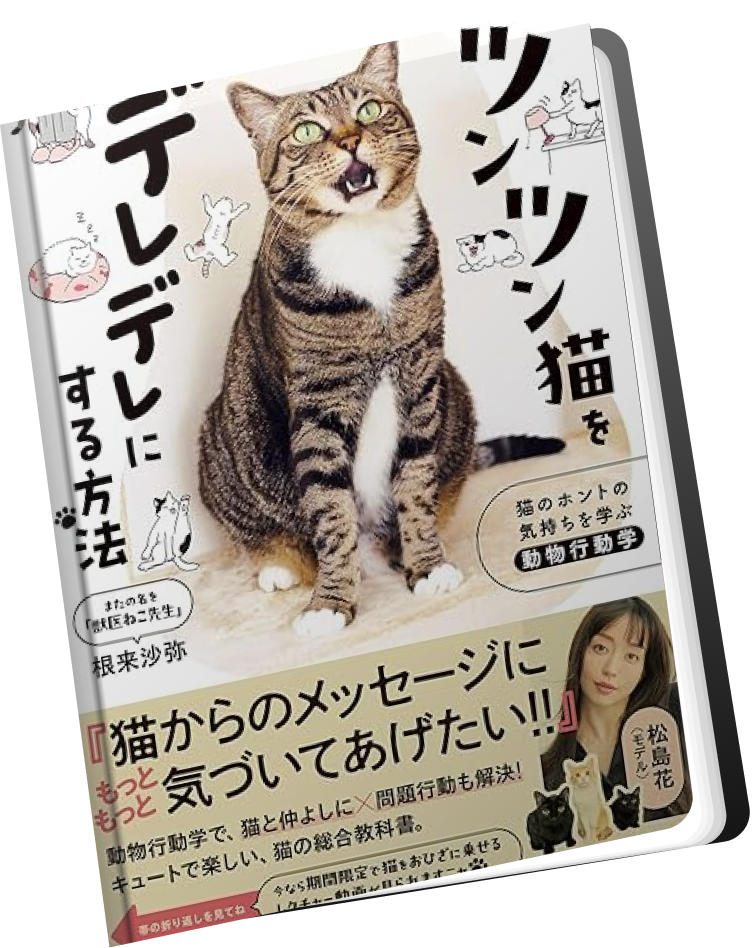根来沙弥 著「ツンツン猫をデレデレにする方法」