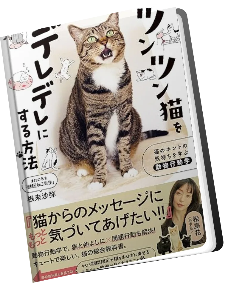 根来沙弥 著「ツンツン猫をデレデレにする方法」